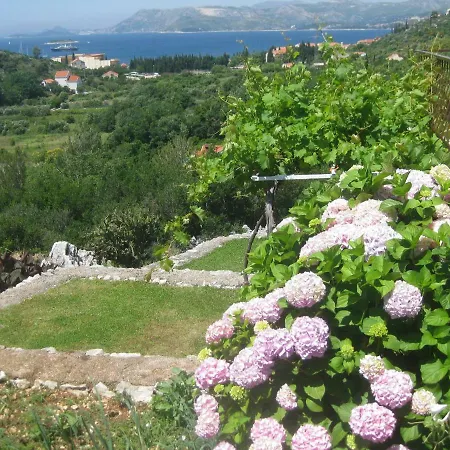Sea View Floyd Apartman Cavtat